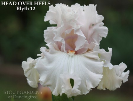 'Head Over Heels' 2011